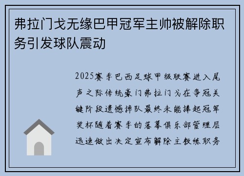 弗拉门戈无缘巴甲冠军主帅被解除职务引发球队震动 弗拉门戈无缘巴甲冠军主帅被解除职务引发球队震动